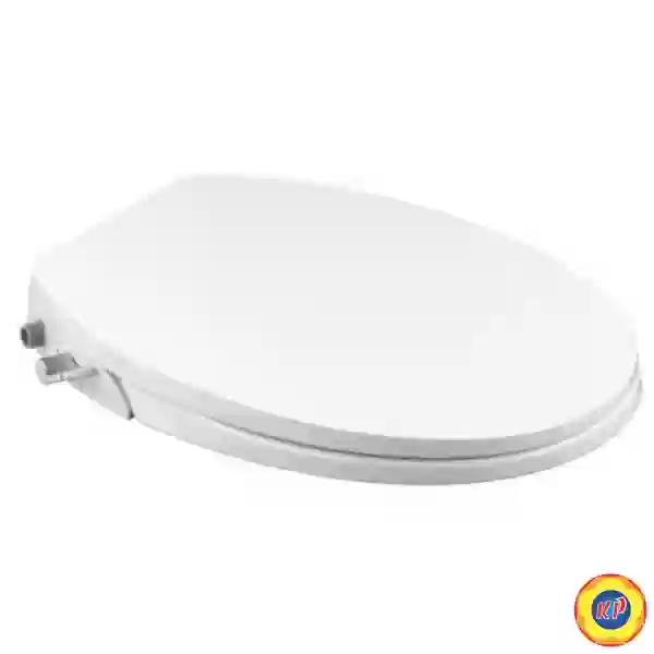 Nắp Rửa Cơ Cotto CVN92203 Convenience 2 Chế Độ
