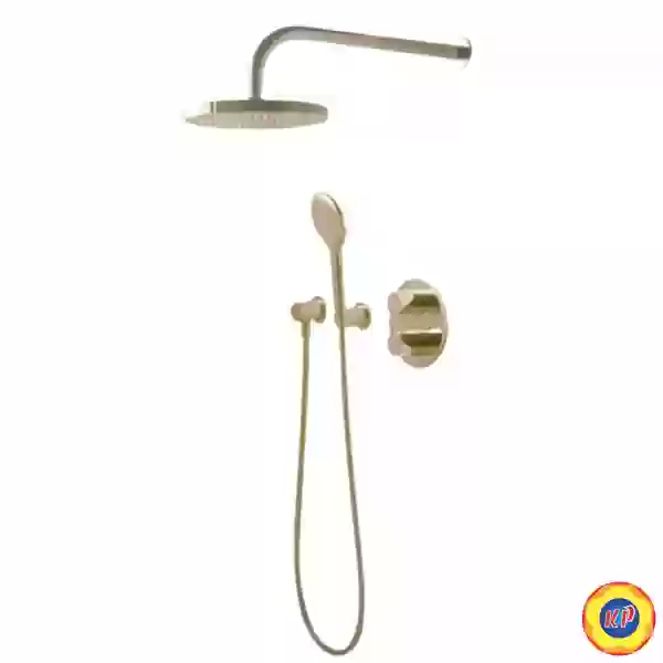 Sen Âm Tường Cotto CPF301H1H2#GR2 Nóng lạnh 2 Đường Nước Màu Vàng Quil
