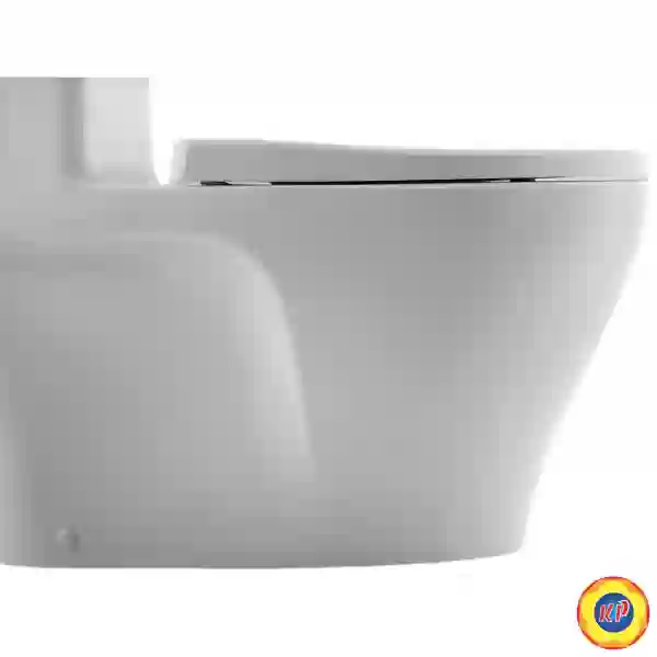Bồn Cầu INAX AC-989VN (AC989VN) 1 Khối Nắp Êm