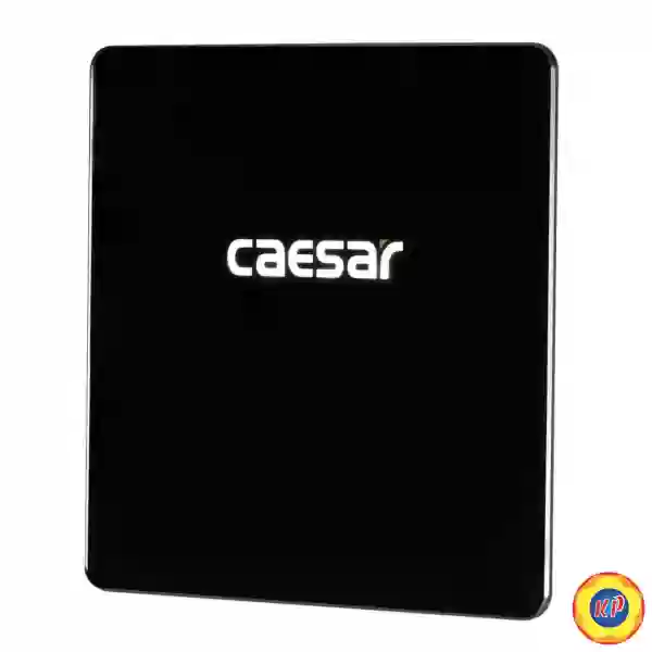 Bộ Xả Tiểu Cảm Ứng Caesar A654 Âm Tường