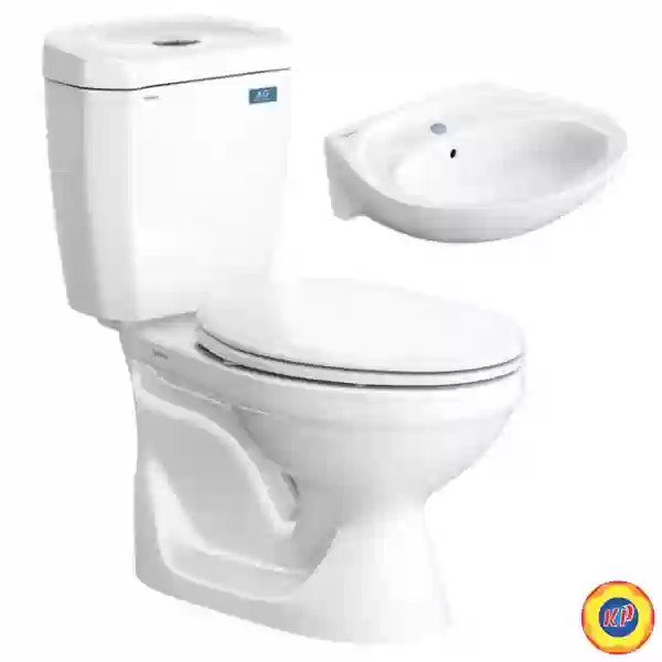 Bồn cầu 2 Khối Viglacera VI88 Nắp Êm V1102E Kèm VTL2